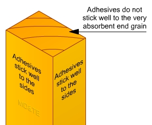 Illustration showing that end grain is very porous