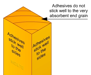 Illustration showing that end grain is very porous