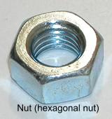 Nut