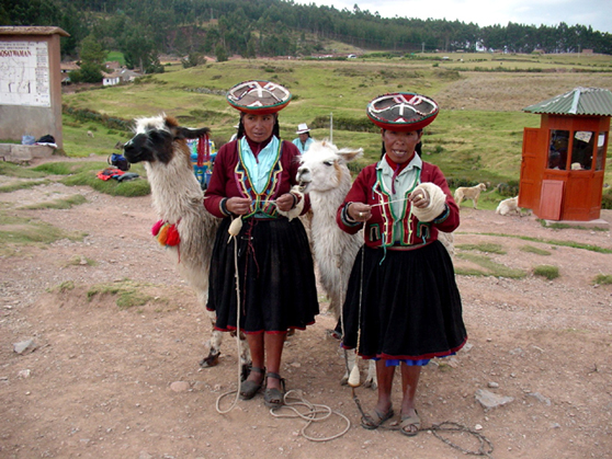 Peruvian women with their llamas 
