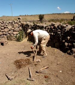 Peruvian Farmar
