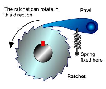 Ratchet rotation allowed