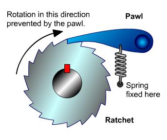 Ratchet rotation prevented by the pawl