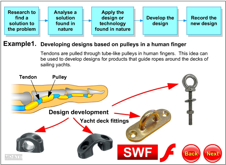 Tendons and ferrules