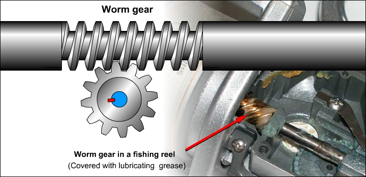 Worm gear